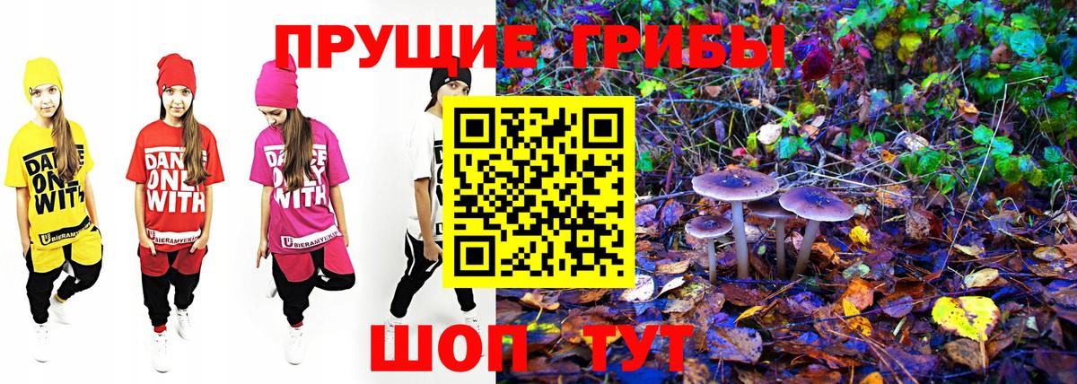 Подольск  Псилоцибиновые грибы мухоморы  Вход с VPN 